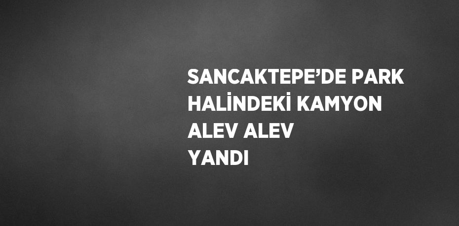 SANCAKTEPE’DE PARK HALİNDEKİ KAMYON ALEV ALEV YANDI
