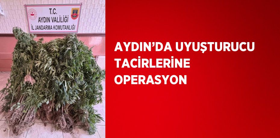 AYDIN’DA UYUŞTURUCU TACİRLERİNE OPERASYON