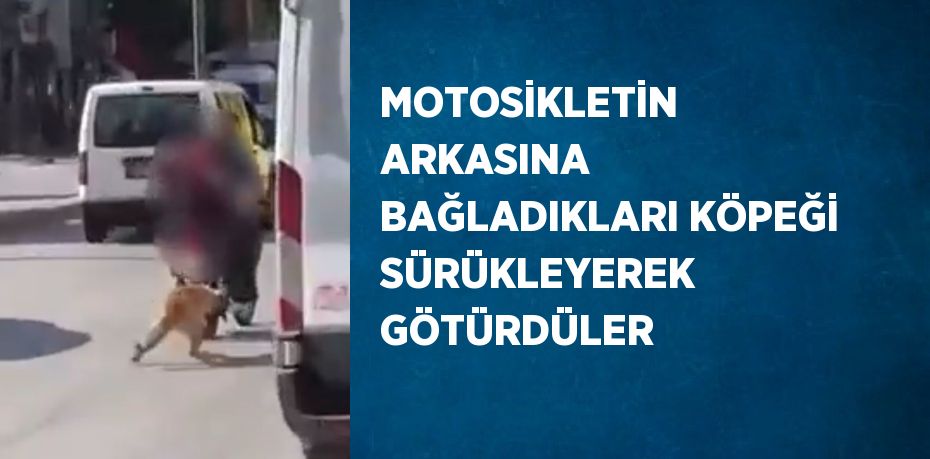 MOTOSİKLETİN ARKASINA BAĞLADIKLARI KÖPEĞİ SÜRÜKLEYEREK GÖTÜRDÜLER
