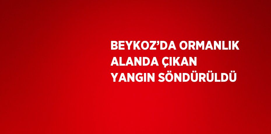 BEYKOZ’DA ORMANLIK ALANDA ÇIKAN YANGIN SÖNDÜRÜLDÜ