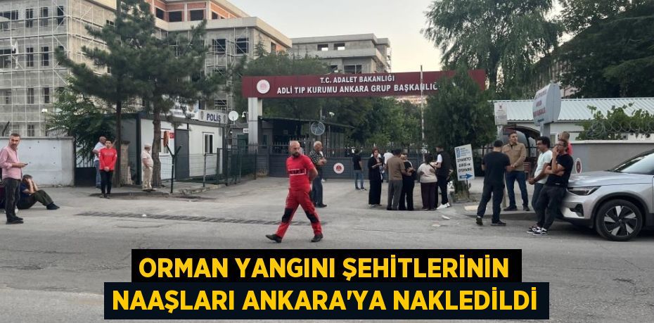 Orman yangını şehitlerinin naaşları Ankara'ya nakledildi