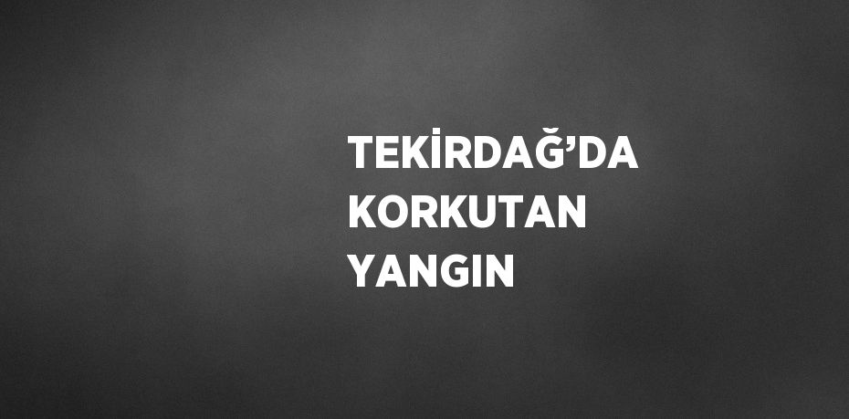 TEKİRDAĞ’DA KORKUTAN YANGIN