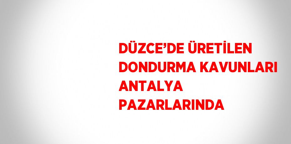 DÜZCE’DE ÜRETİLEN DONDURMA KAVUNLARI ANTALYA PAZARLARINDA