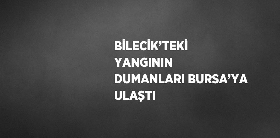 BİLECİK’TEKİ YANGININ DUMANLARI BURSA’YA ULAŞTI