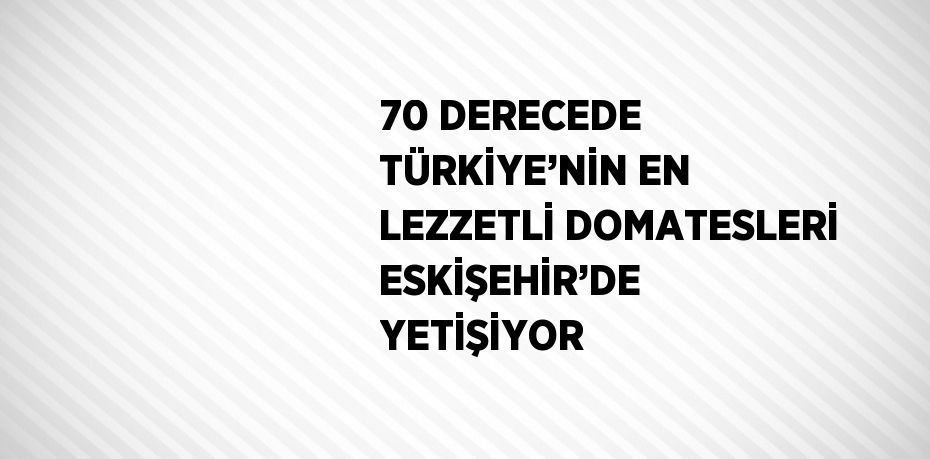 70 DERECEDE TÜRKİYE’NİN EN LEZZETLİ DOMATESLERİ ESKİŞEHİR’DE YETİŞİYOR
