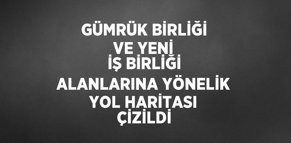 GÜMRÜK BİRLİĞİ VE YENİ İŞ BİRLİĞİ ALANLARINA YÖNELİK YOL HARİTASI ÇİZİLDİ