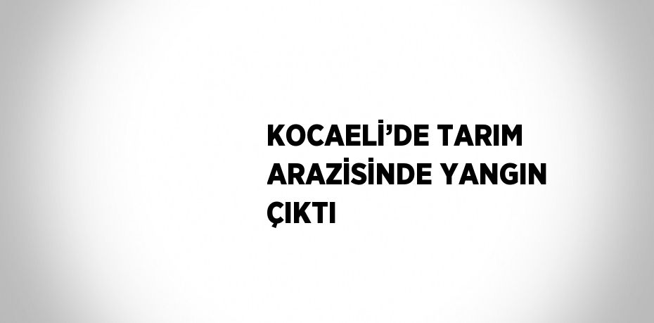 KOCAELİ’DE TARIM ARAZİSİNDE YANGIN ÇIKTI