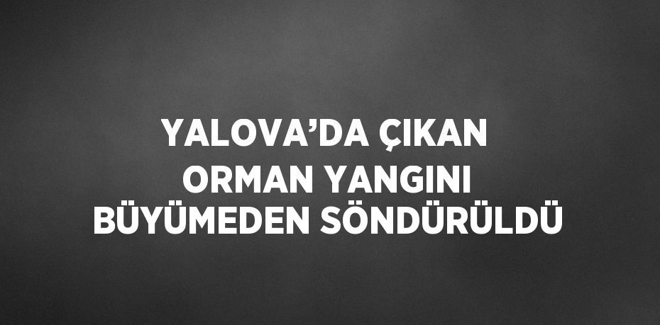 YALOVA’DA ÇIKAN ORMAN YANGINI BÜYÜMEDEN SÖNDÜRÜLDÜ