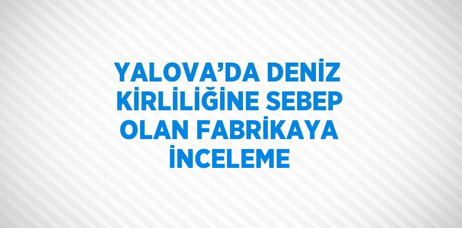 YALOVA’DA DENİZ KİRLİLİĞİNE SEBEP OLAN FABRİKAYA İNCELEME