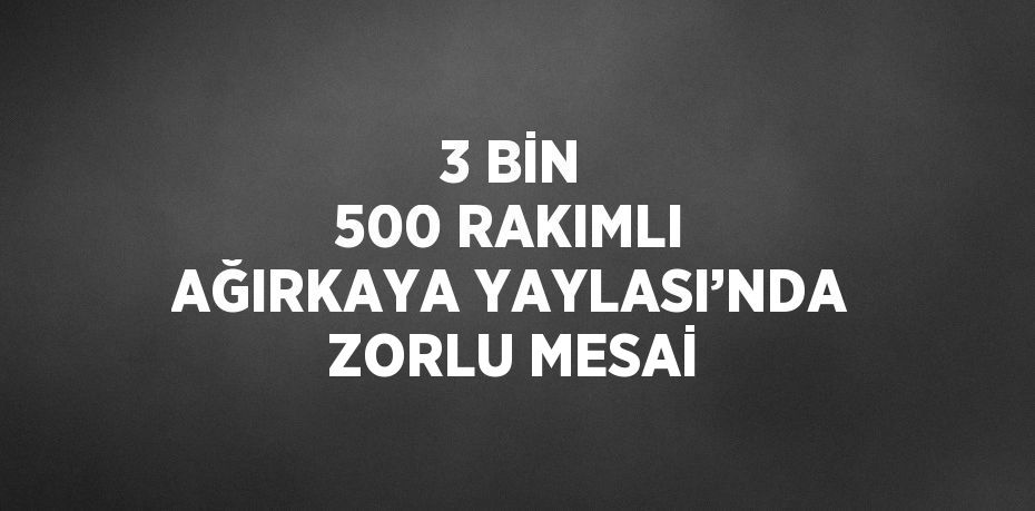 3 BİN 500 RAKIMLI AĞIRKAYA YAYLASI’NDA ZORLU MESAİ