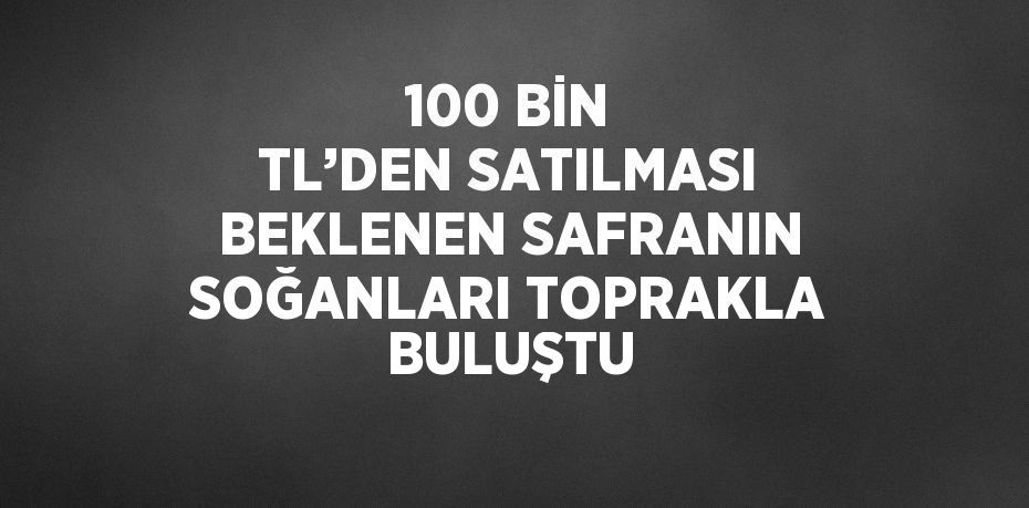 100 BİN TL’DEN SATILMASI BEKLENEN SAFRANIN SOĞANLARI TOPRAKLA BULUŞTU