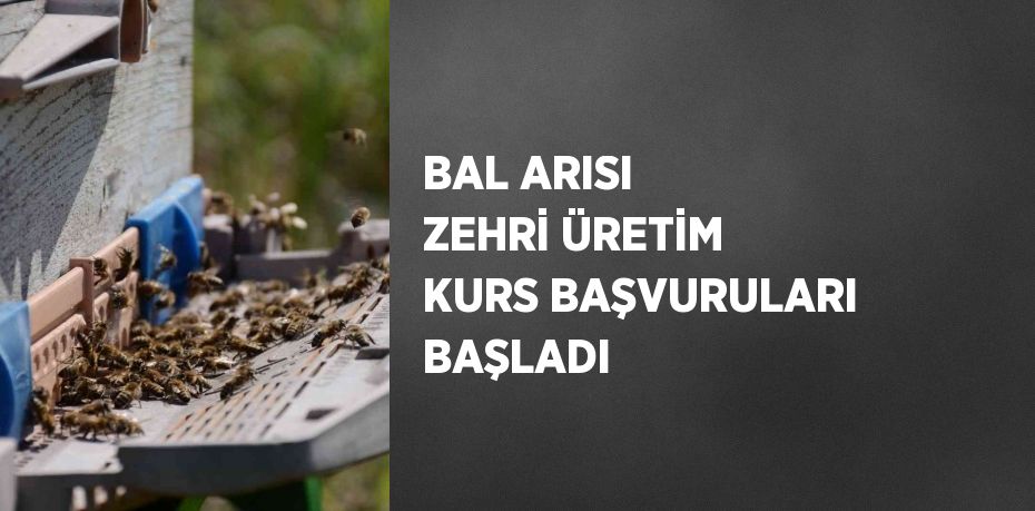 BAL ARISI ZEHRİ ÜRETİM KURS BAŞVURULARI BAŞLADI