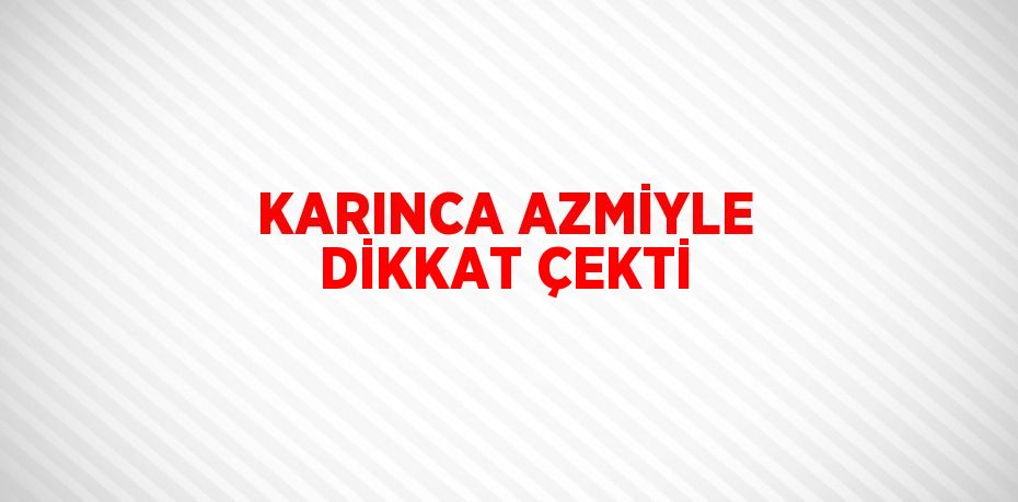 KARINCA AZMİYLE DİKKAT ÇEKTİ