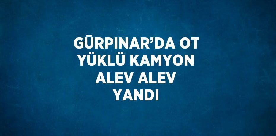 GÜRPINAR’DA OT YÜKLÜ KAMYON ALEV ALEV YANDI