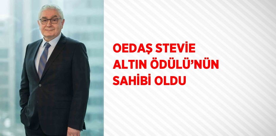 OEDAŞ STEVİE ALTIN ÖDÜLÜ’NÜN SAHİBİ OLDU