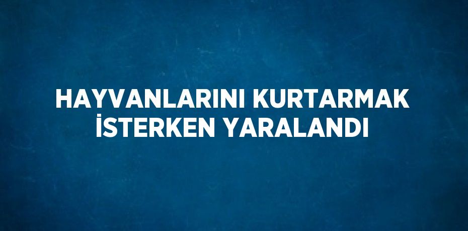 HAYVANLARINI KURTARMAK İSTERKEN YARALANDI