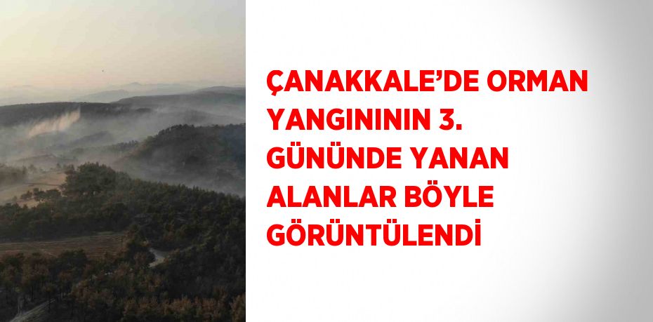 ÇANAKKALE’DE ORMAN YANGINININ 3. GÜNÜNDE YANAN ALANLAR BÖYLE GÖRÜNTÜLENDİ