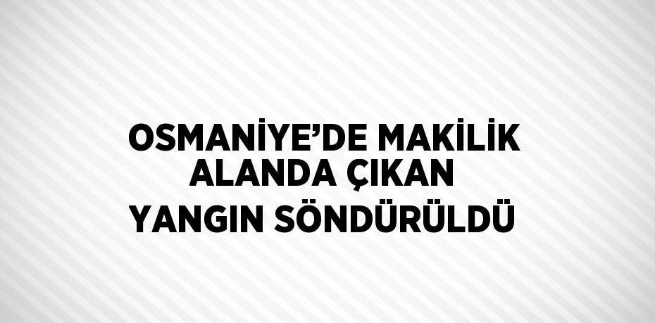 OSMANİYE’DE MAKİLİK ALANDA ÇIKAN YANGIN SÖNDÜRÜLDÜ