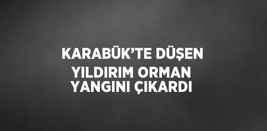 KARABÜK’TE DÜŞEN YILDIRIM ORMAN YANGINI ÇIKARDI