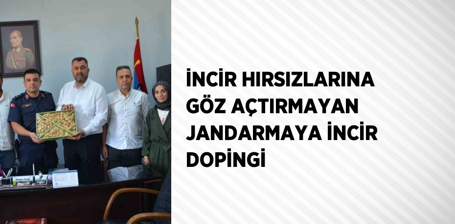 İNCİR HIRSIZLARINA GÖZ AÇTIRMAYAN JANDARMAYA İNCİR DOPİNGİ