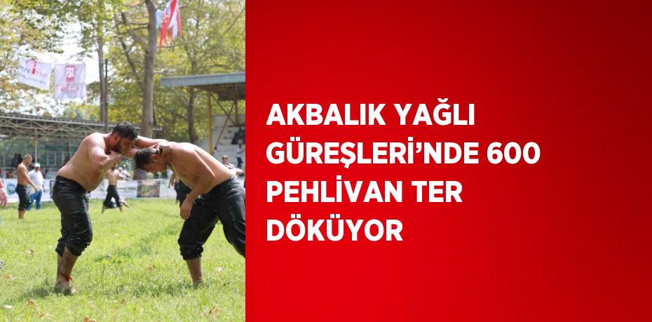 AKBALIK YAĞLI GÜREŞLERİ’NDE 600 PEHLİVAN TER DÖKÜYOR