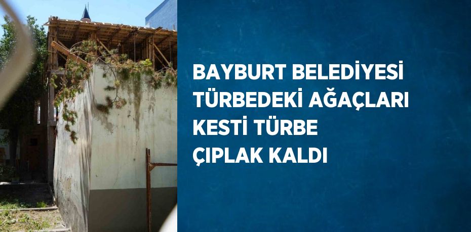 BAYBURT BELEDİYESİ TÜRBEDEKİ AĞAÇLARI KESTİ TÜRBE ÇIPLAK KALDI