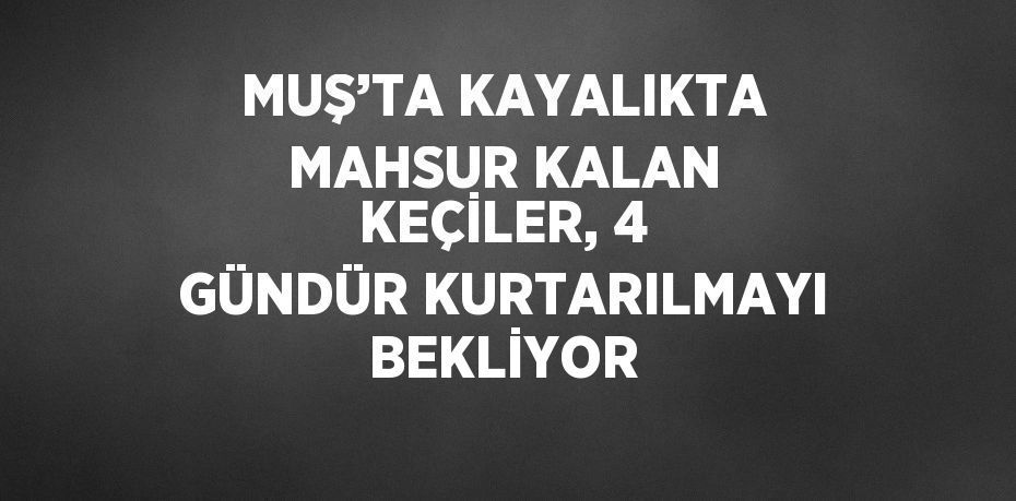 MUŞ’TA KAYALIKTA MAHSUR KALAN KEÇİLER, 4 GÜNDÜR KURTARILMAYI BEKLİYOR