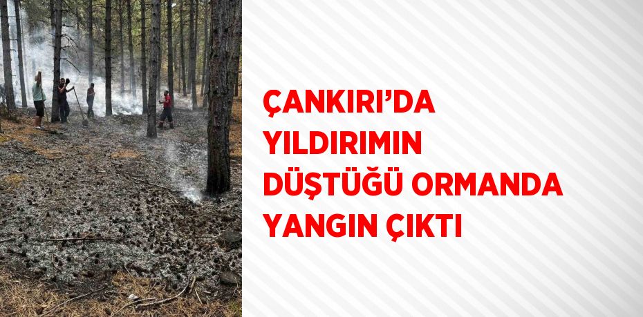 ÇANKIRI’DA YILDIRIMIN DÜŞTÜĞÜ ORMANDA YANGIN ÇIKTI