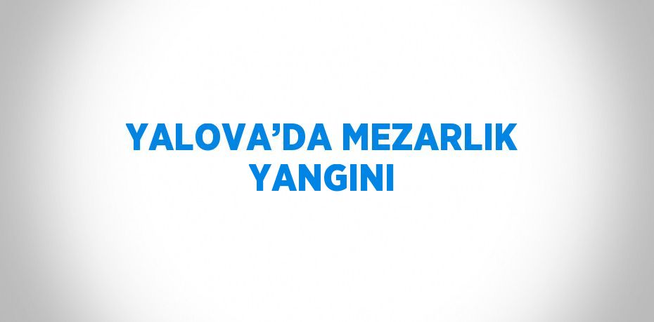 YALOVA’DA MEZARLIK YANGINI