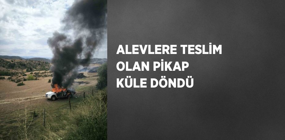 ALEVLERE TESLİM OLAN PİKAP KÜLE DÖNDÜ