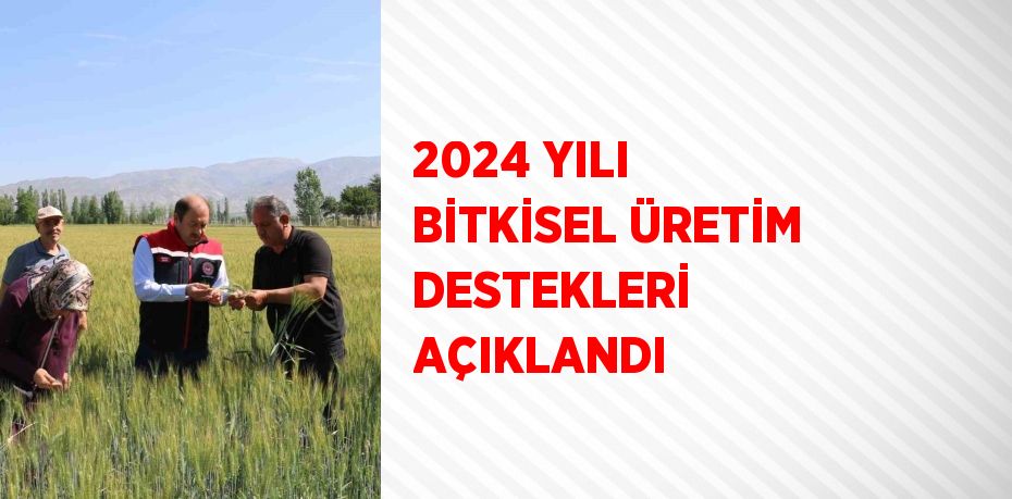 2024 YILI BİTKİSEL ÜRETİM DESTEKLERİ AÇIKLANDI