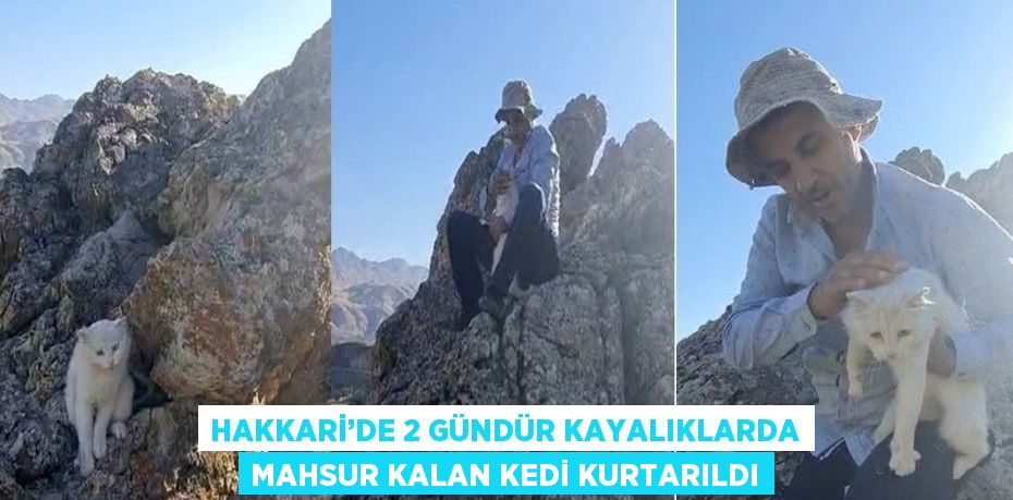 HAKKARİ’DE 2 GÜNDÜR KAYALIKLARDA MAHSUR KALAN KEDİ KURTARILDI