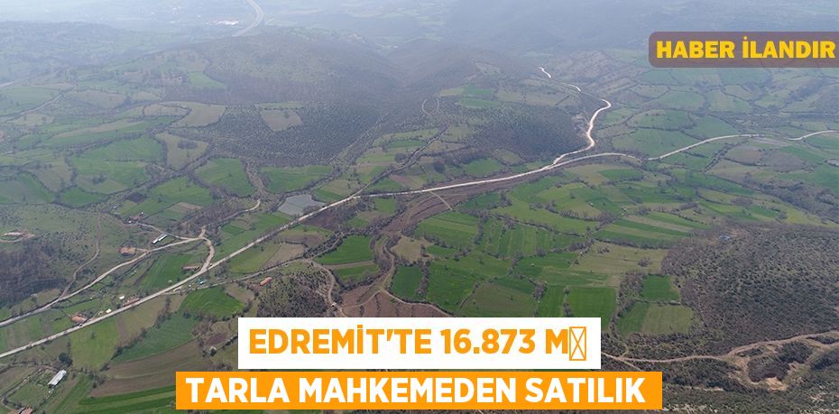 Edremit'te 16.873 m² tarla mahkemeden satılık