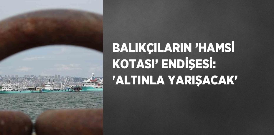 BALIKÇILARIN ’HAMSİ KOTASI’ ENDİŞESİ: 'ALTINLA YARIŞACAK'