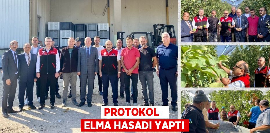 PROTOKOL   ELMA HASADI YAPTI