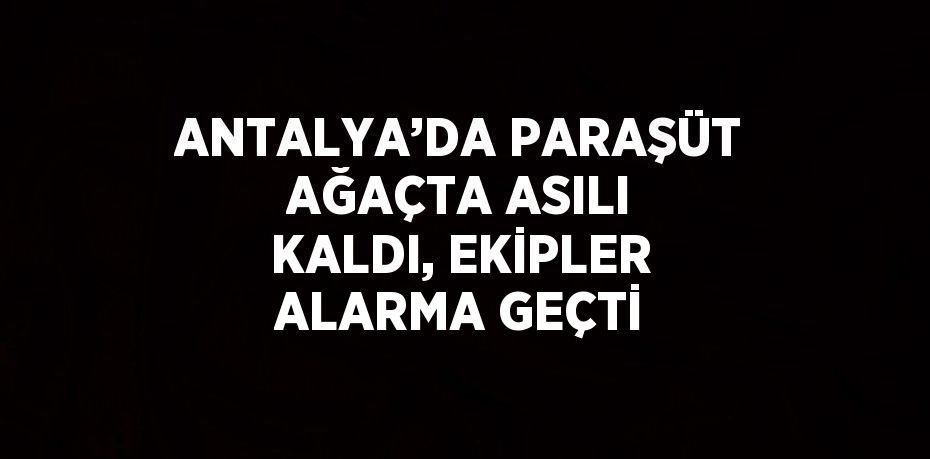 ANTALYA’DA PARAŞÜT AĞAÇTA ASILI KALDI, EKİPLER ALARMA GEÇTİ