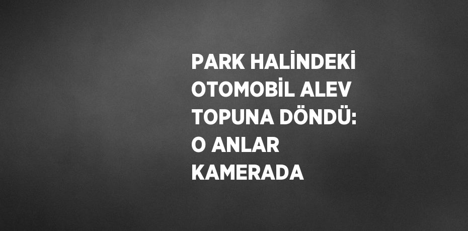 PARK HALİNDEKİ OTOMOBİL ALEV TOPUNA DÖNDÜ: O ANLAR KAMERADA