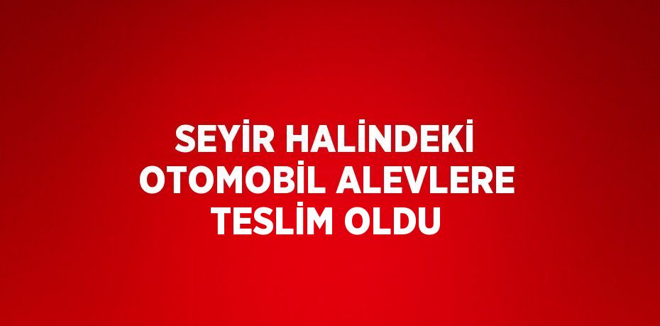 SEYİR HALİNDEKİ OTOMOBİL ALEVLERE TESLİM OLDU