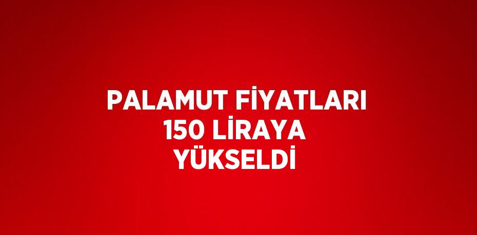 PALAMUT FİYATLARI 150 LİRAYA YÜKSELDİ