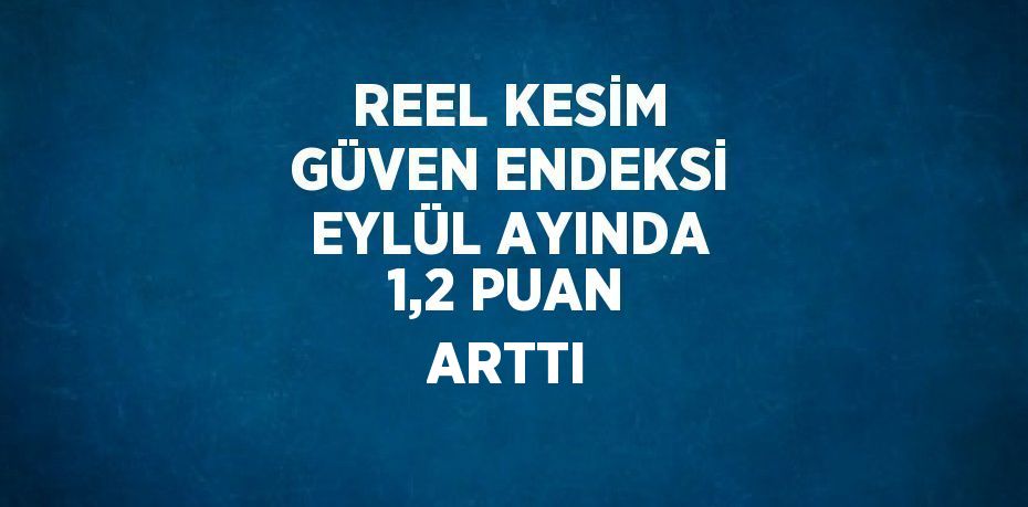 REEL KESİM GÜVEN ENDEKSİ EYLÜL AYINDA 1,2 PUAN ARTTI