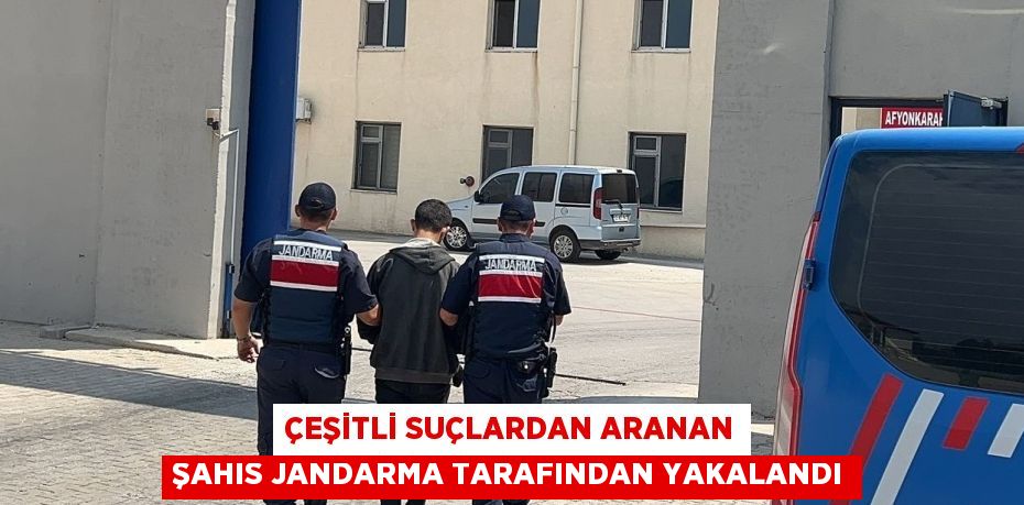 ÇEŞİTLİ SUÇLARDAN ARANAN ŞAHIS JANDARMA TARAFINDAN YAKALANDI