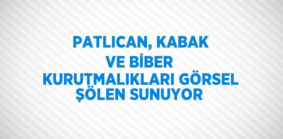 PATLICAN, KABAK VE BİBER KURUTMALIKLARI GÖRSEL ŞÖLEN SUNUYOR