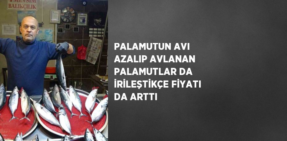 PALAMUTUN AVI AZALIP AVLANAN PALAMUTLAR DA İRİLEŞTİKÇE FİYATI DA ARTTI