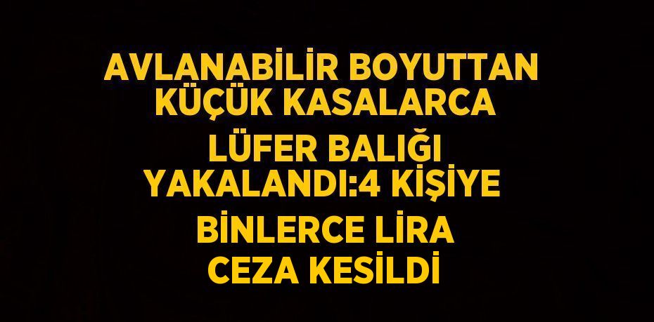 AVLANABİLİR BOYUTTAN KÜÇÜK KASALARCA LÜFER BALIĞI YAKALANDI:4 KİŞİYE BİNLERCE LİRA CEZA KESİLDİ