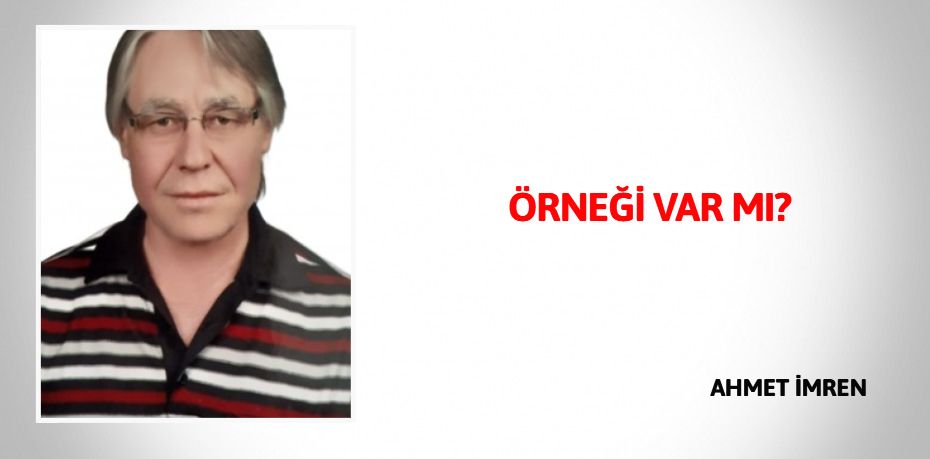 ÖRNEĞİ VAR MI?