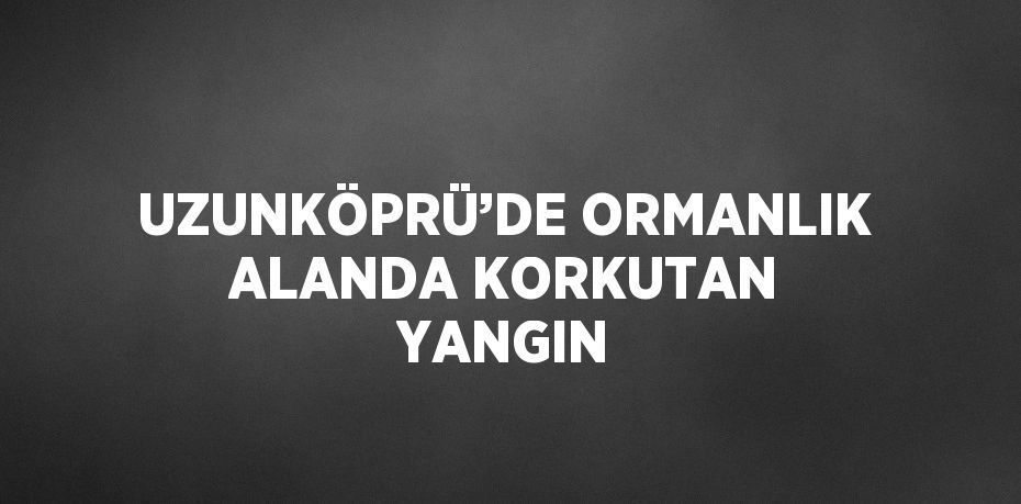 UZUNKÖPRÜ’DE ORMANLIK ALANDA KORKUTAN YANGIN