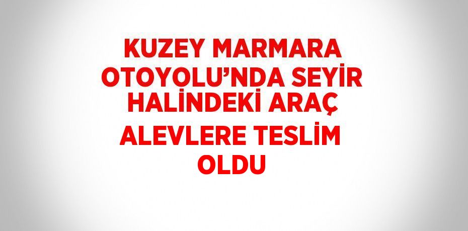 KUZEY MARMARA OTOYOLU’NDA SEYİR HALİNDEKİ ARAÇ ALEVLERE TESLİM OLDU