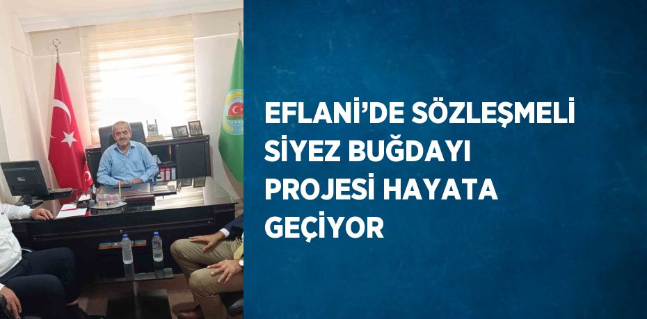 EFLANİ’DE SÖZLEŞMELİ SİYEZ BUĞDAYI PROJESİ HAYATA GEÇİYOR