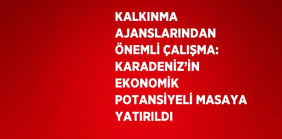 KALKINMA AJANSLARINDAN ÖNEMLİ ÇALIŞMA: KARADENİZ’İN EKONOMİK POTANSİYELİ MASAYA YATIRILDI