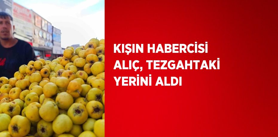 KIŞIN HABERCİSİ ALIÇ, TEZGAHTAKİ YERİNİ ALDI